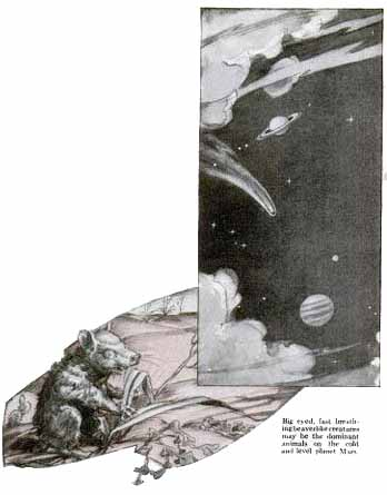 Illustration for article titled Is Mars Ruled by Beavers?
